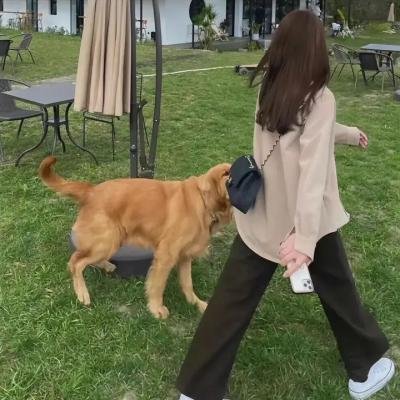 愤怒的红色星球