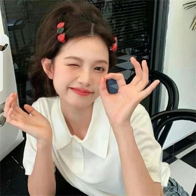 法网神鹰